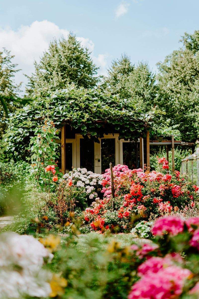 Sakura Green Garden Studio